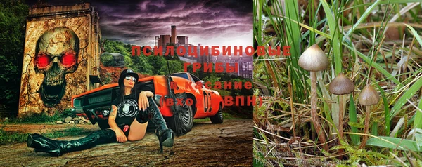 СК Белоозёрский